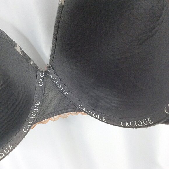 Cacique Lane Bryant Wired Lightly Lined Bra 44D Gray Polar Bear Print - Picture 12 of 13